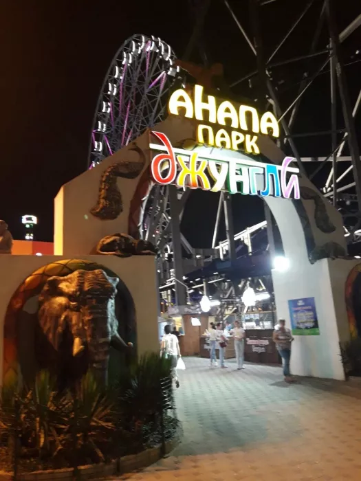 Джунгли