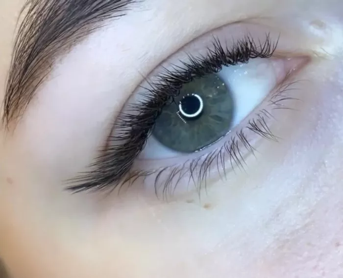 LashesGo