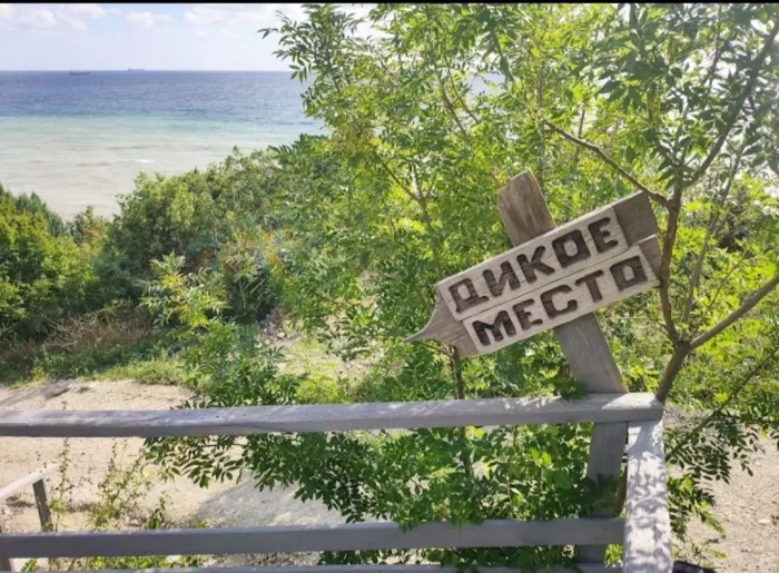 Глэмпинг "Дикое место"