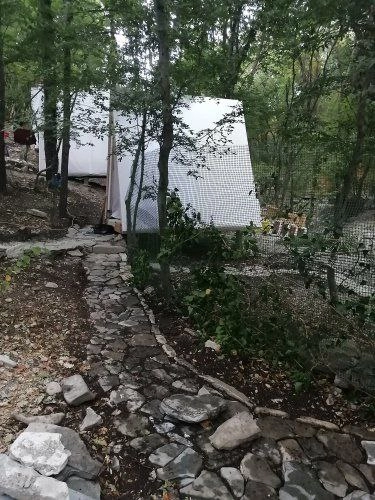 Глэмпинг "Дикое место"