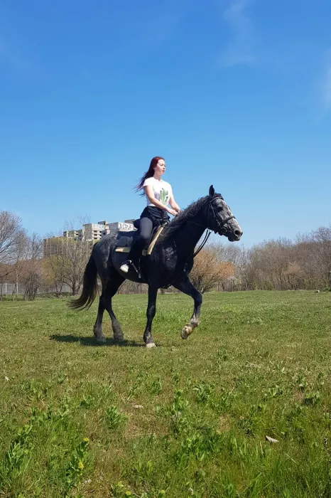 Кони Сукко