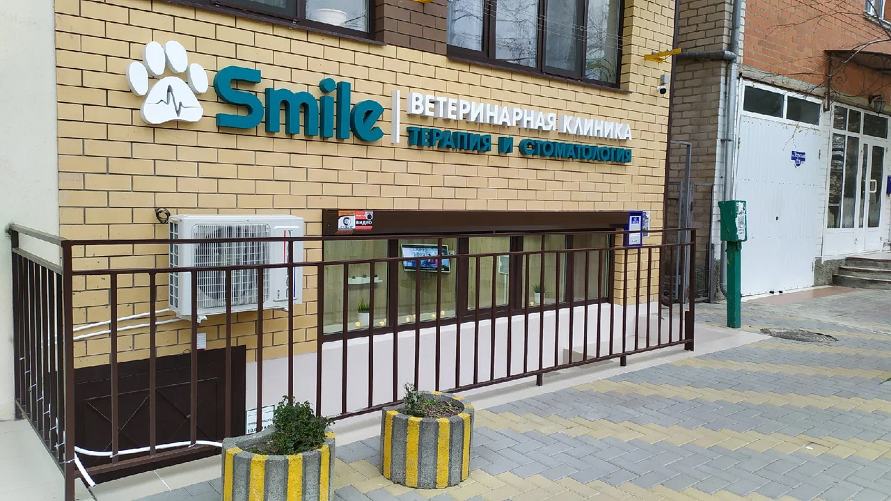 Ветеринарная клиника "Smile"