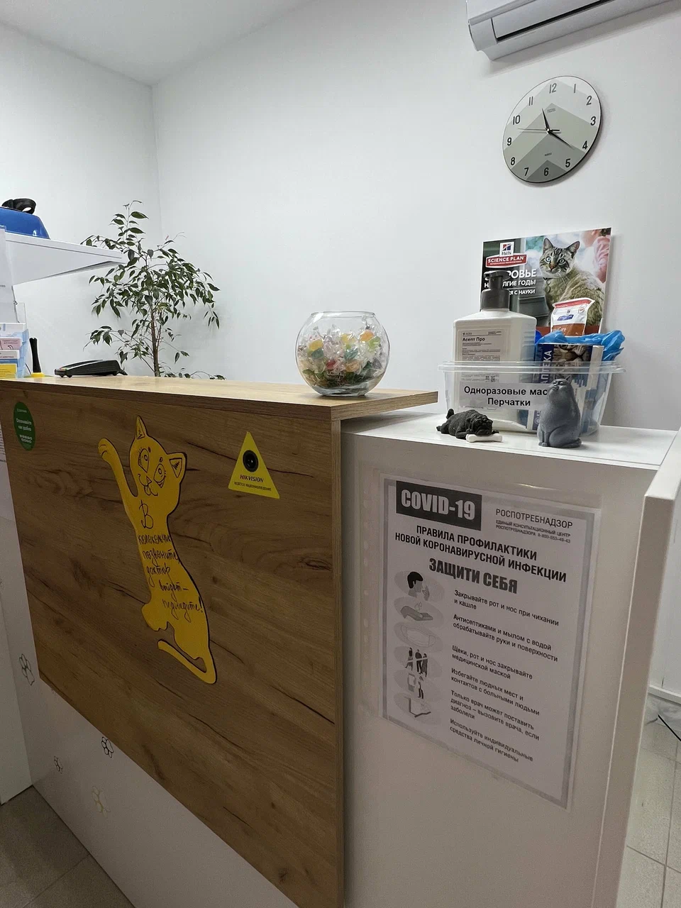 Центр здоровья животных "VetClub"