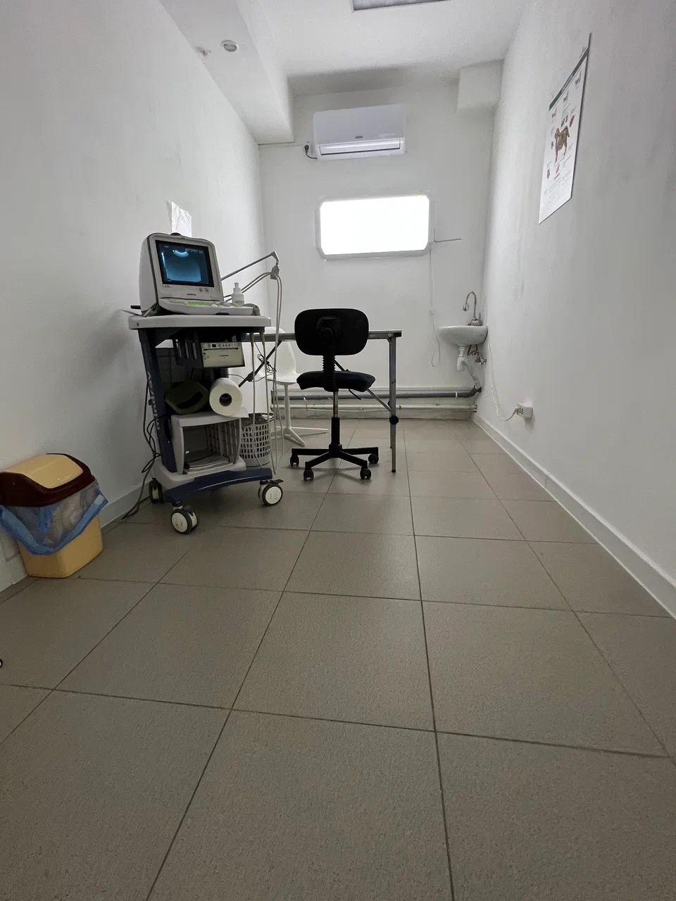 Центр здоровья животных "VetClub"