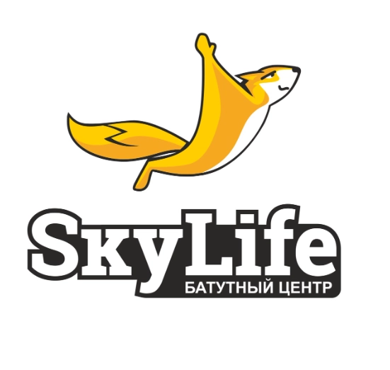 батутный центр SkyLife