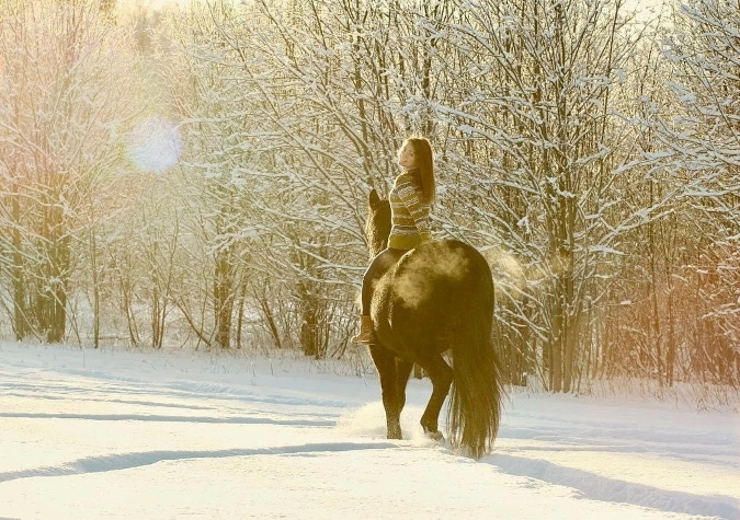 конноспортивный клуб Светозар 