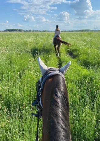 конный клуб "Western Horse"