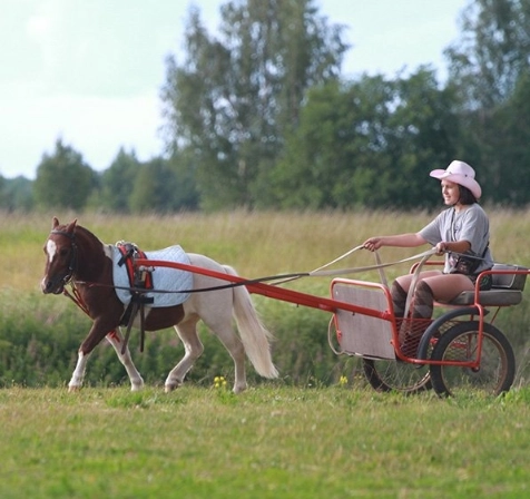 конный клуб "Western Horse"
