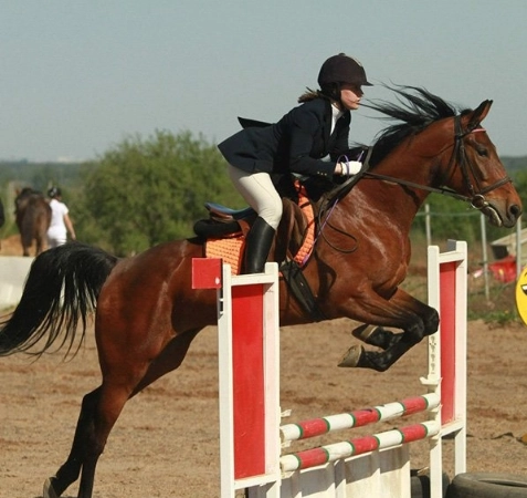 конный клуб "Western Horse"