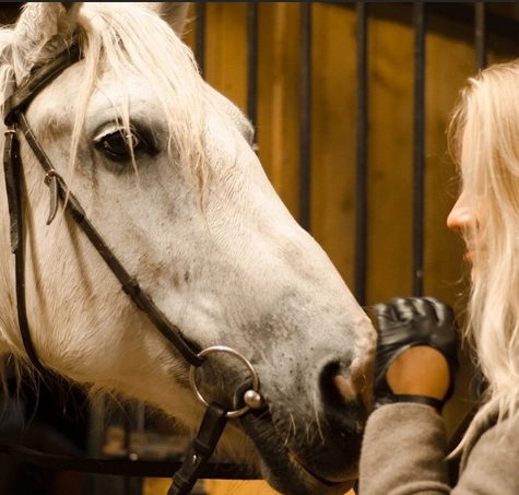 конный клуб "Western Horse"