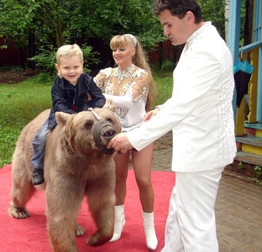 Аренда Крокодила
