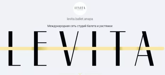Международная сеть студий балета и растяжки «LEVITA»