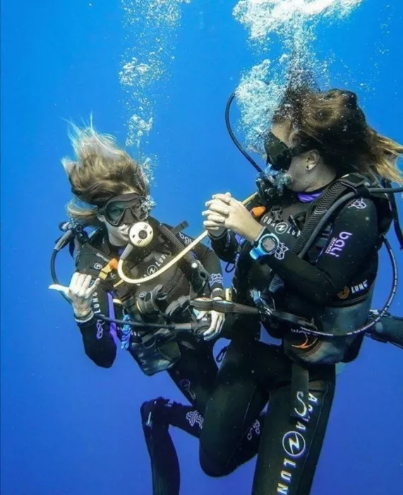 Дайвинг-клуб "Reef Dive Club"