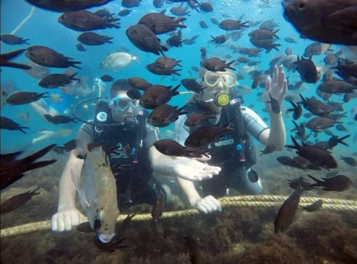 Дайвинг-клуб "Reef Dive Club"