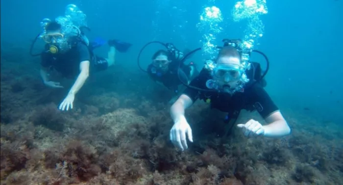 Дайвинг-клуб "Reef Dive Club"