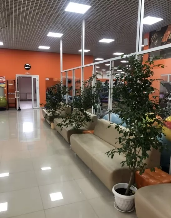 Тренажерный зал "Mango Gym"