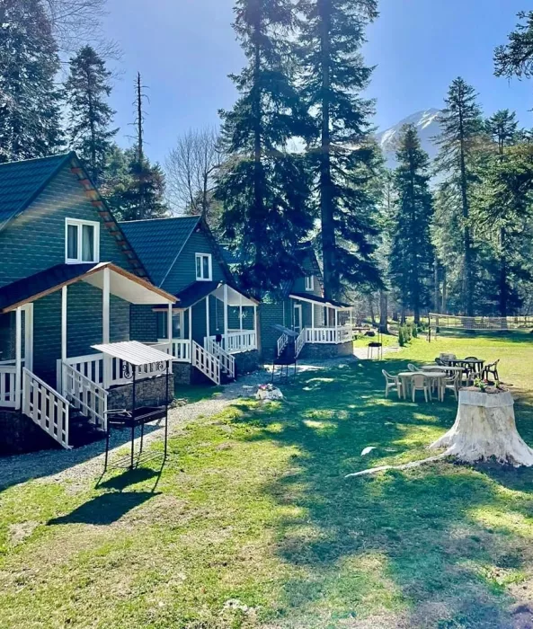Гостиница "Green House"