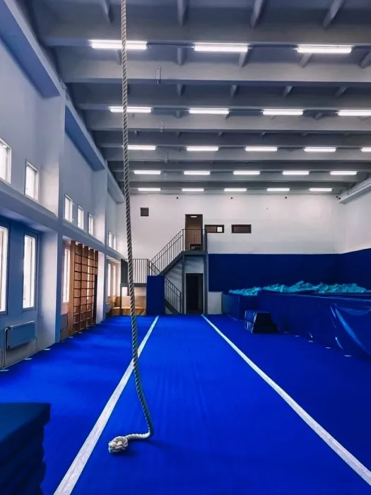 Гимнастический клуб «Tavros»