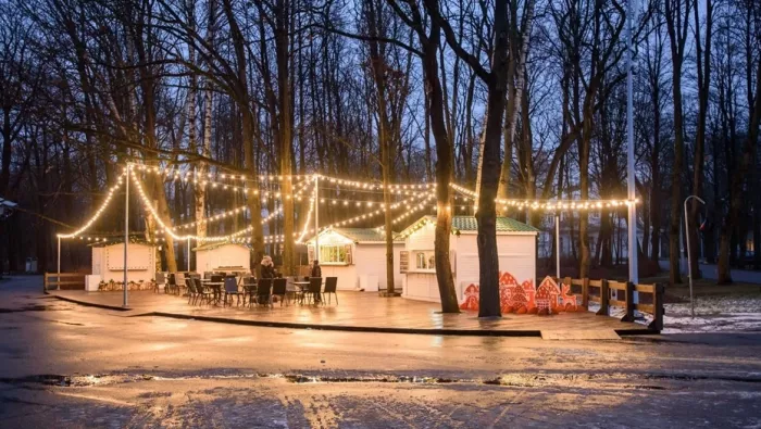 Центральный зимний каток
