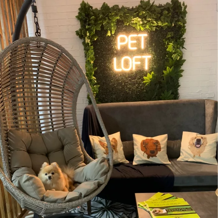 Зоосалон "The Pet Loft"