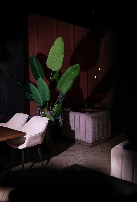 Кальян бар "Мята Lounge" на Гимназической