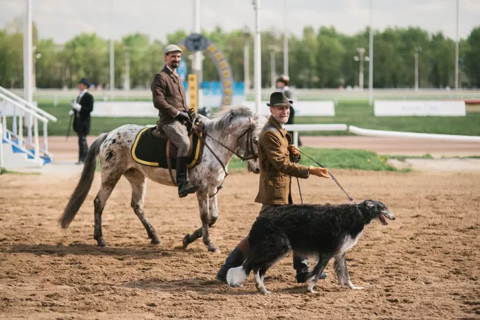 Центральный Московский ипподром
