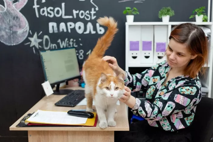 Школа вокала "Фа Соль"