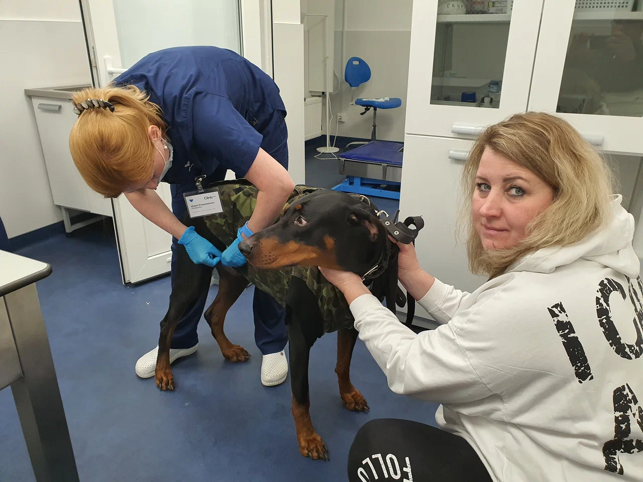 Ветклиника "Vetcity Clinic"