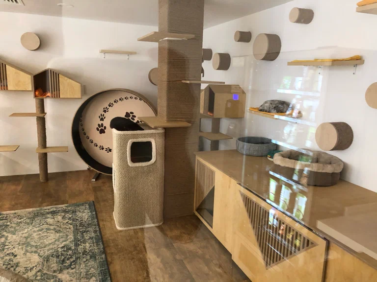 Ветклиника "Vetcity Clinic"