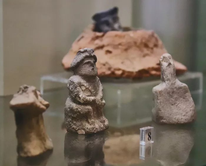 Краснодарский государственный историко-археологический музей-заповедник имени Е.Д. Фелицына