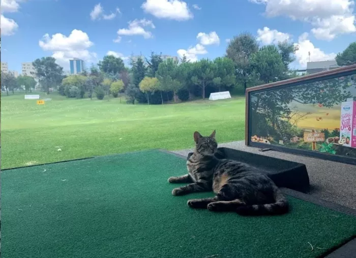 Гольф клуб "Atasehir Golf Club"