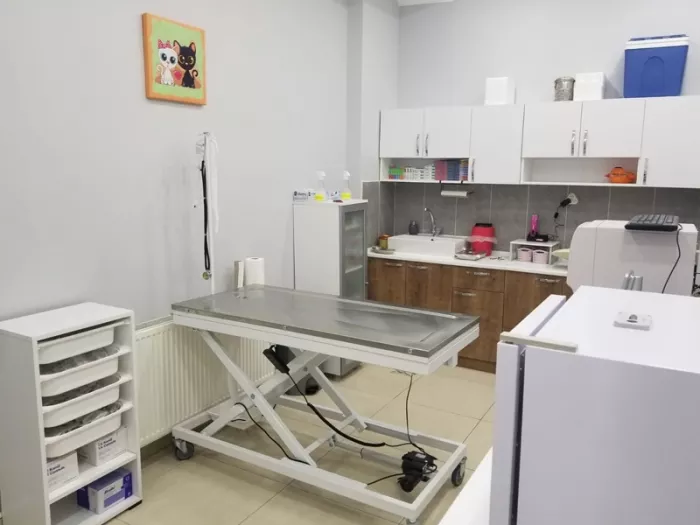Ветеринарная клиника "Viki Veteriner Kliniği"