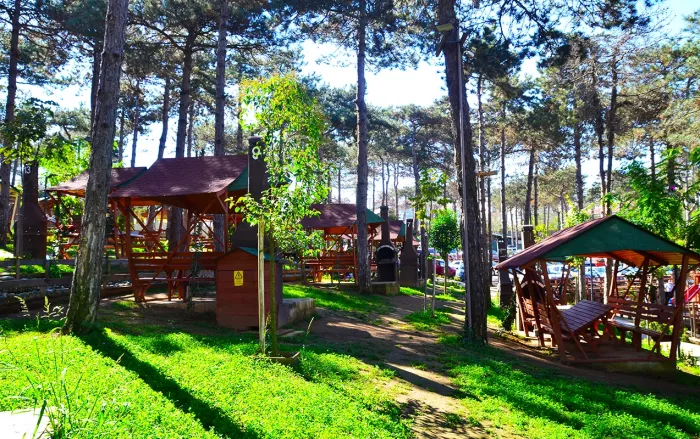 Зоопарк "Park Of İstanbul Doğa ve Yaşam Kompleksi | Çekmeköy Hayvan Rehabilitasyon Merkezi"