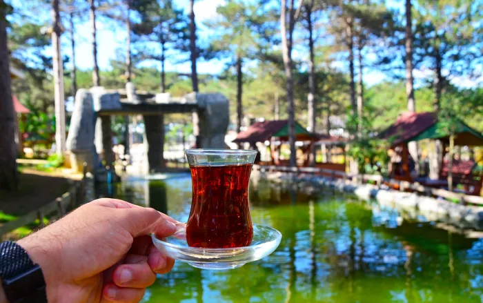 Зоопарк "Park Of İstanbul Doğa ve Yaşam Kompleksi | Çekmeköy Hayvan Rehabilitasyon Merkezi"