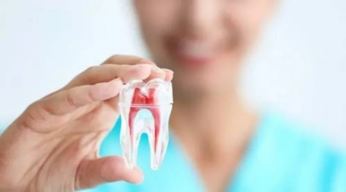 Стомотология "Clinica Dental - AP-DENTA"