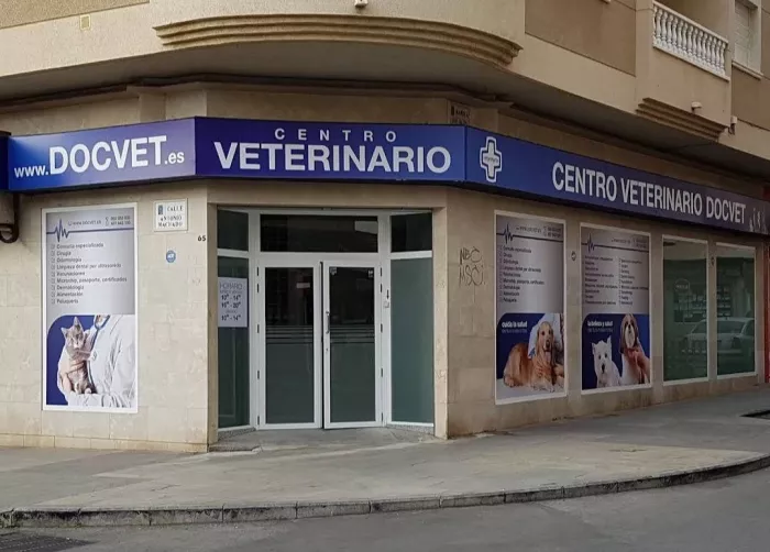 Ветеринарная клиника "Veterenario DocVet"