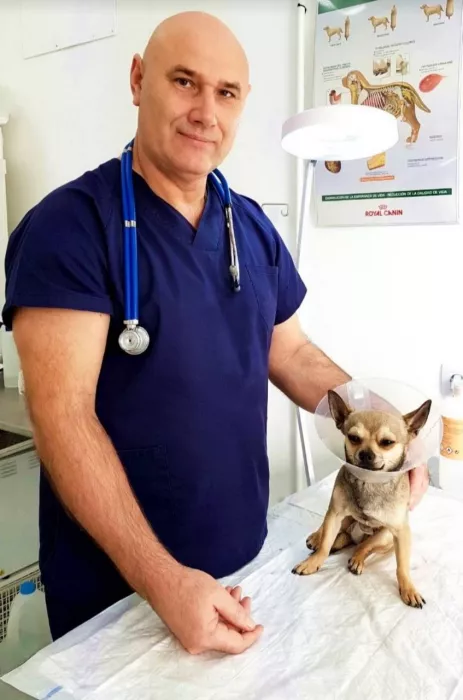 Ветеринарная клиника "Veterenario DocVet"