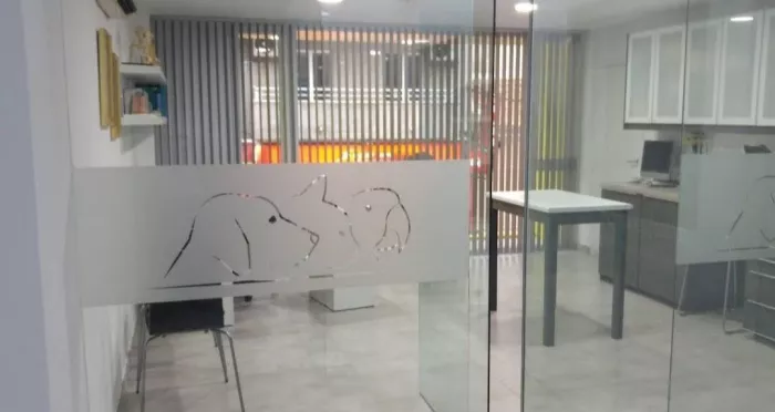 Ветеринария "Veterinary Polyclinic Zoocenter"