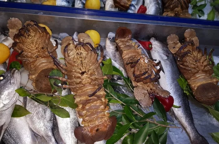 Рыбный ресторан "Belek Deniz Restaurant".