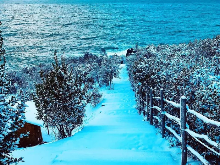 Глэмпинг "Riva Valley Glamping"