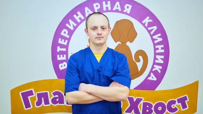 Ветеринарная клиника "Главное Хвост"