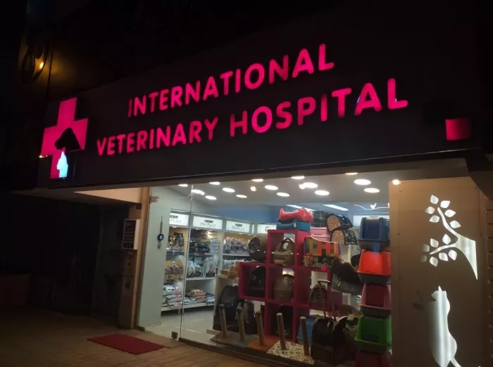 Ветеринарная клиника "International Veterinary Clinic"