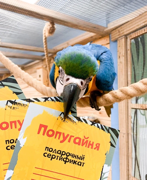 Контактный зоопарк "Попугайня"