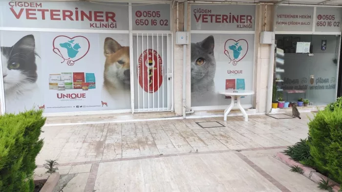 Ветеринарная клиника "ÇİĞDEM VETERİNER KLİNİĞİ"