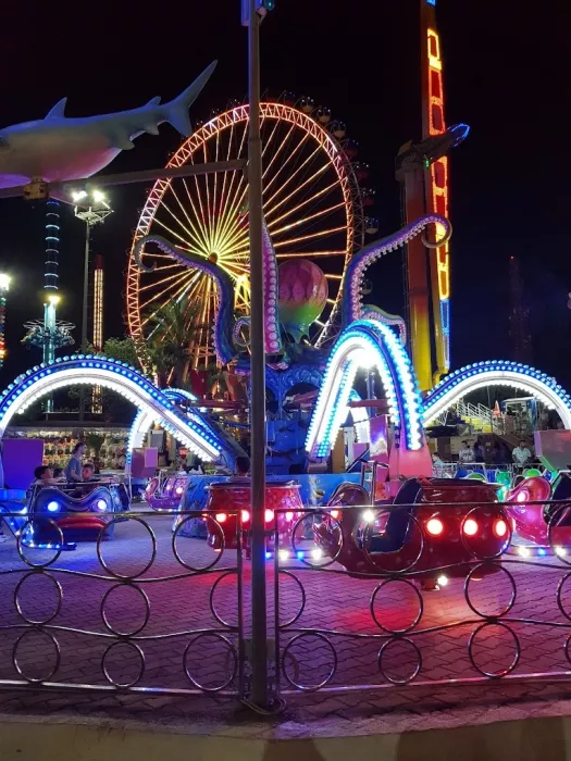 Парк развлечений "Aktur Park"