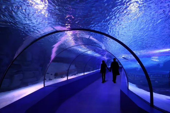 Океанариум "Antalya Aquarium"