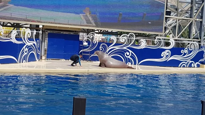 Океанариум "Antalya Aquarium"