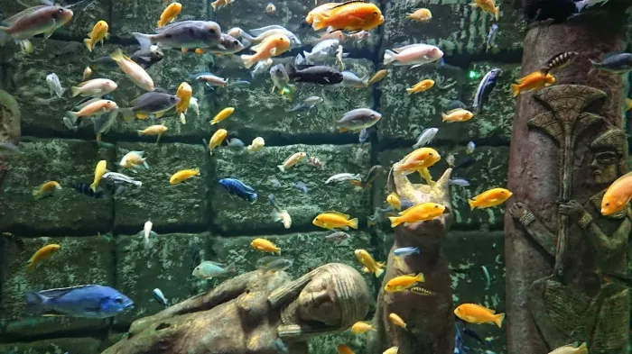 Океанариум "Antalya Aquarium"