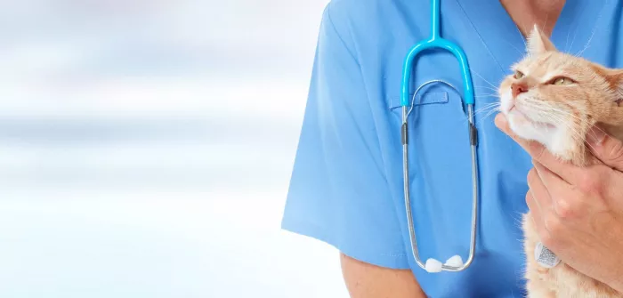 Ветеринарная клиника "Pozitif Veteriner Kliniği"