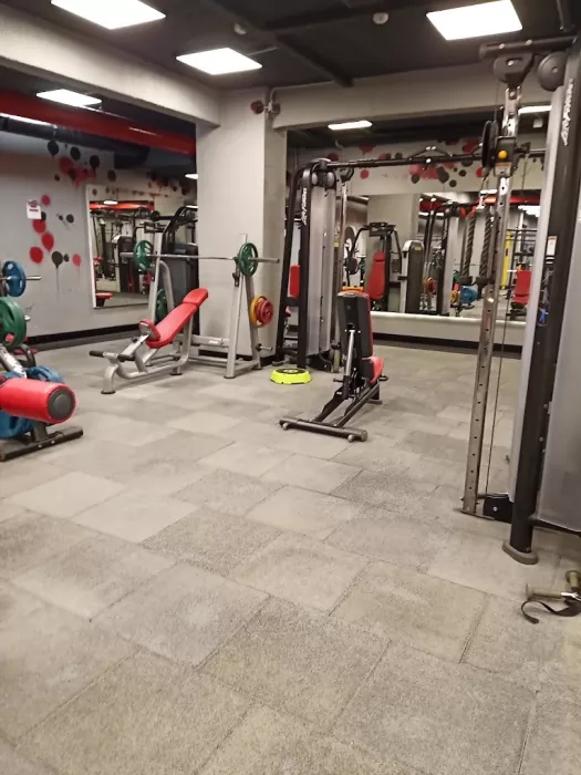 Тренажерный зал "Ultra Max Gym"